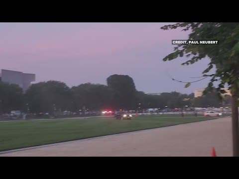 Man who drove down National Mall left $10,000 worth of damage, court docs say
