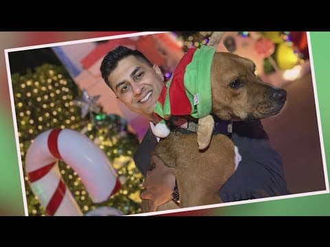 La Jolla businessman spends $175,000 decorating his home for Christmas