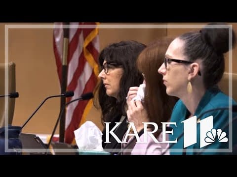 Minnesota lawmakers discuss gun violence prevention