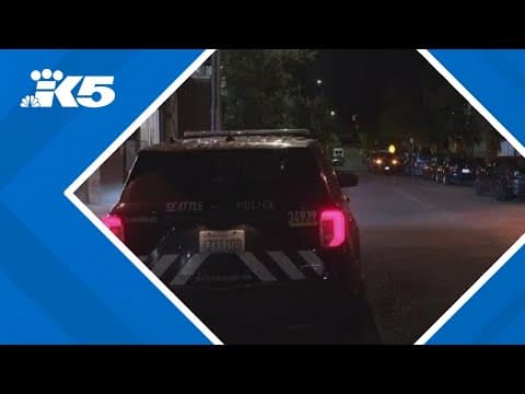 Police investigating deadly stabbing in Seattle's Mount Baker neighborhood
