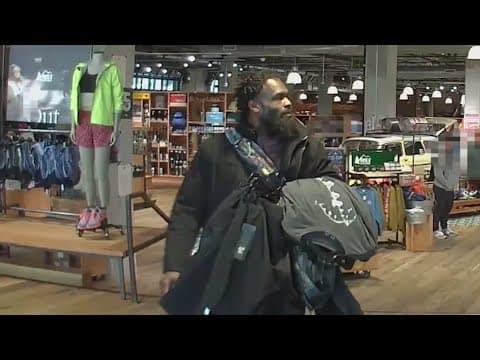 Person of interest caught on camera in series of store thefts