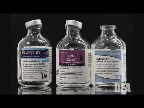 Drug Enforcement Agency warns about dangers of xylazine