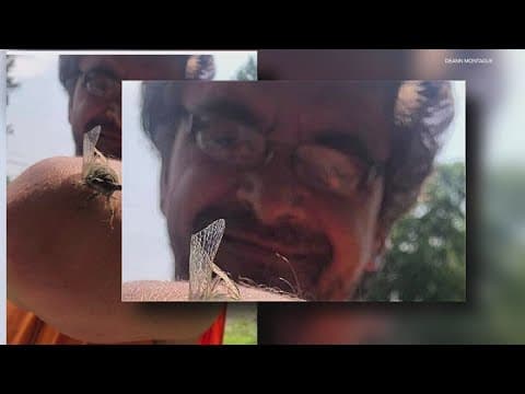 Man sentenced to 39 years for helping teen hide guns after deadly shooting