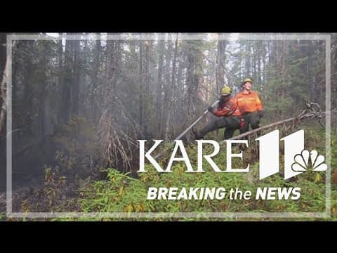 How the Canadian wildfires are affecting wildlife