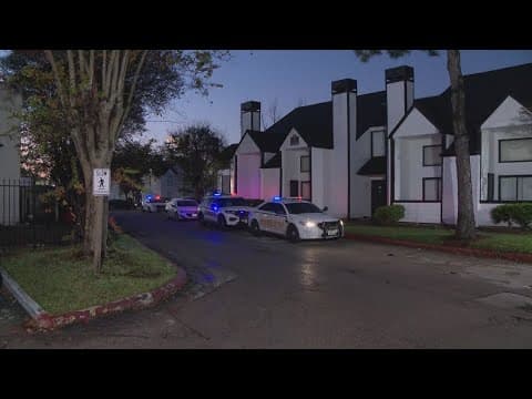 Woman stabs, kills ex-boyfriend who showed up at her apartment, got into argument, HCSO says