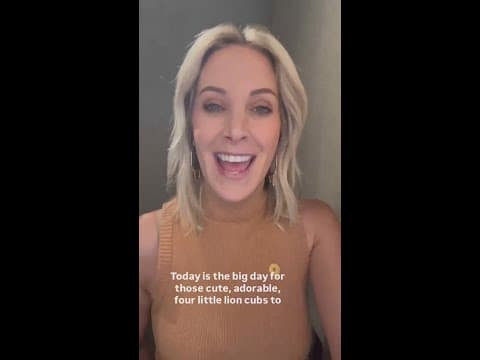 Time to see the new lion cubs at Denver Zoo