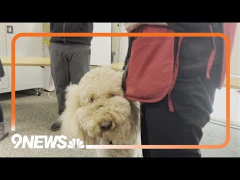 Chaplains bless over Colorado hospital's pet therapy dogs