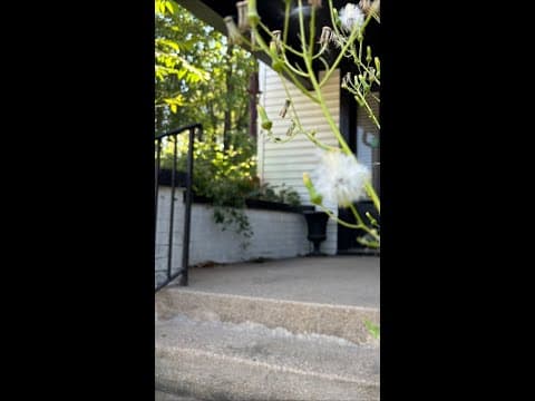 Emergency youth homeless shelter opens in Indianapolis with growing waitlist