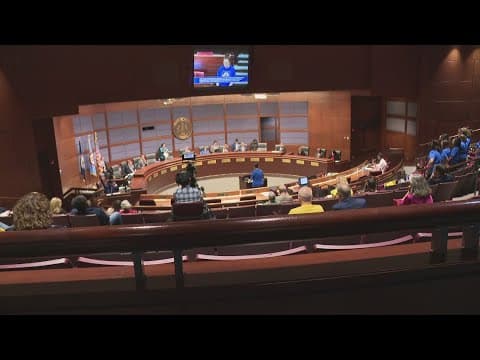 Fairfax County budget hearings draw crowds, more than 250 people testify