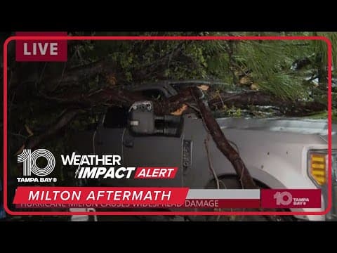 Trees uprooted in Bradenton during Hurricane Milton
