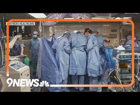 Pig Kidney Transplanted Into Person For First Time