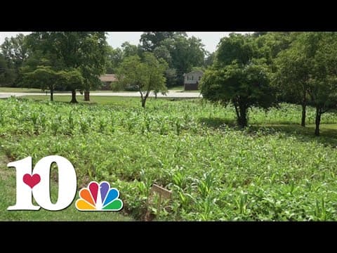 East Tennessee gardens give refugees native food
