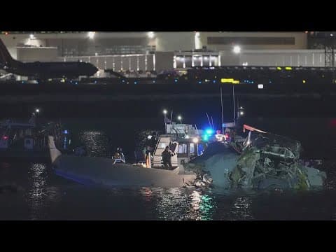 Friends and family remember victims of deadly plane and helicopter collision as more names are relea