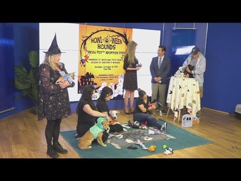 San Diego Animal Support Foundation's mega-pet adoption event this weekend at Grossmont