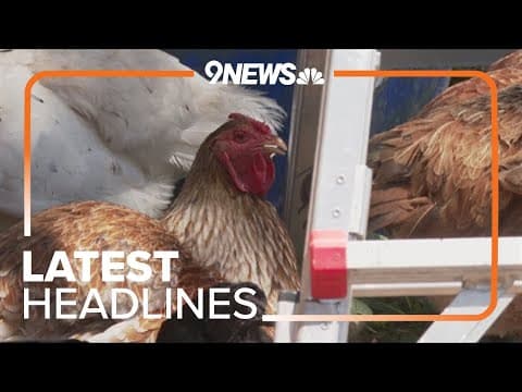 Latest headlines | Colorado reports first human case of bird flu in more than 2 years