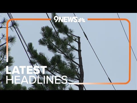 Latest Headlines | Experts say Xcel Energy's fire mitigation efforts may be having opposite effect