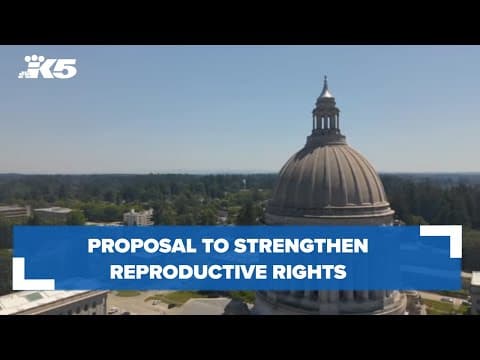 Proposal to strengthen reproductive rights