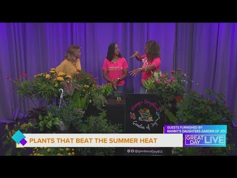 Step into the Garden of Joy