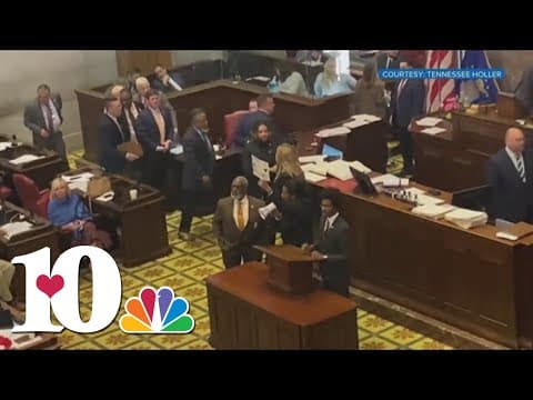 Compass: Two representatives expelled from TN House