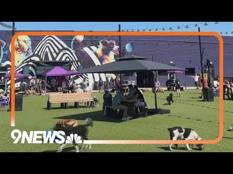 Skiptown RiNo hosting 'Woofstock' event