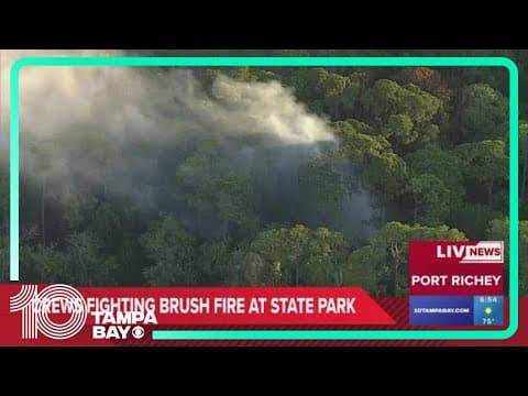 Here's what we know about the brush fire burning near townhomes in Port Richey