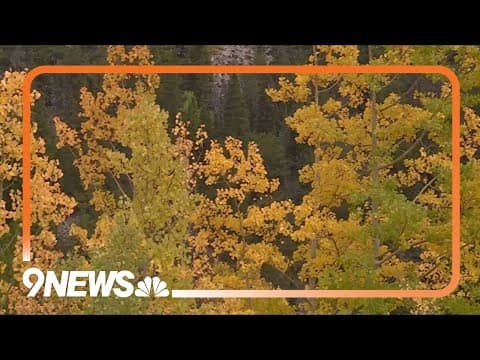 Colorado is close to hitting peak foliage season