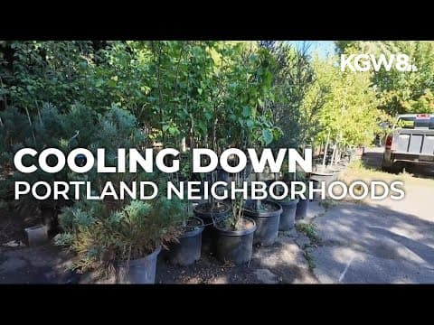 Portland launches $2M tree planting program to expand shade, fight climate change