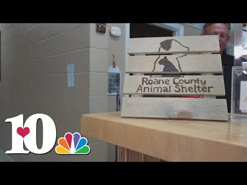 New Roane County Spay and Neuter Clinic to offer low-cost surgeries for pets