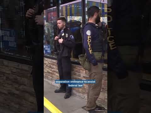 After the federal raids on Minneapolis' E Lake Street, we have an audit of how the city responded.