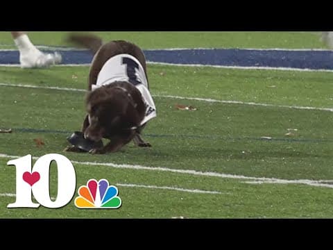 Anderson County defeats Northview, 56-7