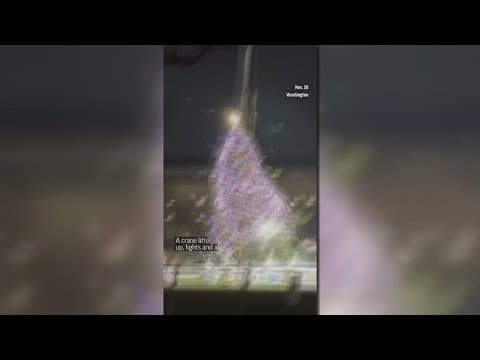 White House Christmas tree falls