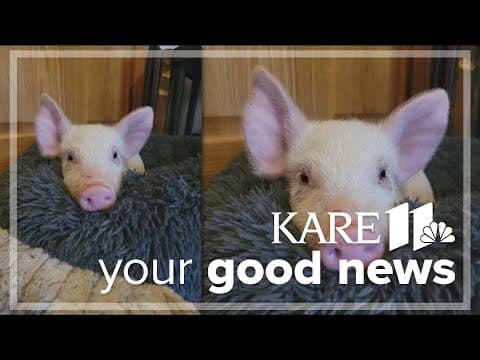 Your Good News: Diane Schilling, Kelli Rolvaag, Maria Mulvihill