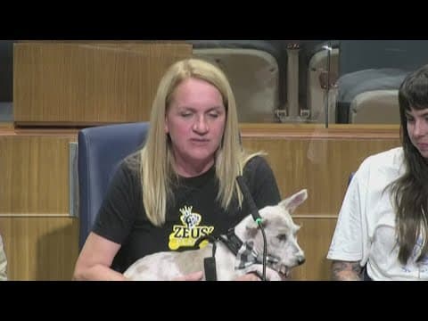 Scrim spotted on live camera over the weekend