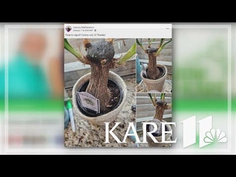Grow with KARE: Answering your gardening questions