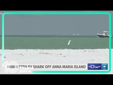 Marine expert says shark who bit man in Manatee County was not going for him
