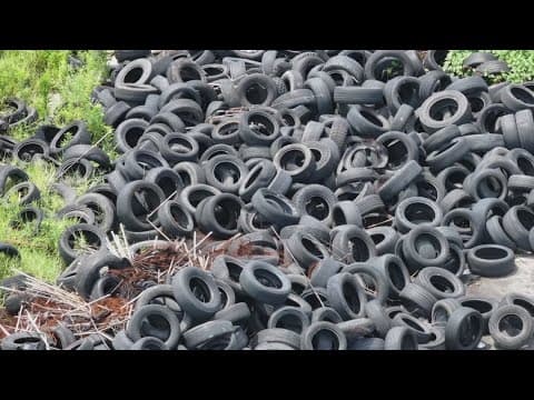 Progress made but the fight is not over against N.O. East dumping