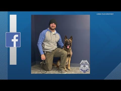 Carmel police welcome new K-9 officer