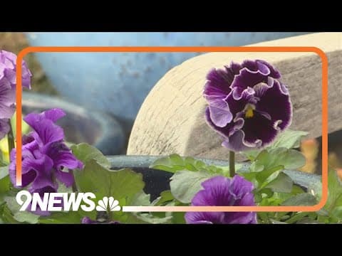 Don't use Mother's Day as a planting guide