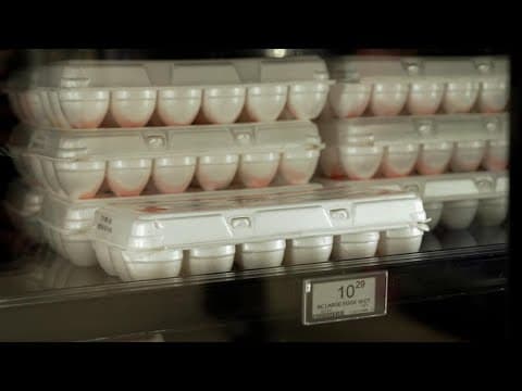 The impact of rising egg prices | What's the Deal?