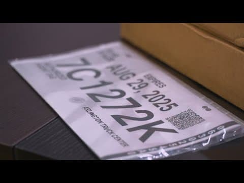 Texas cuts out paper license plates to curb crime