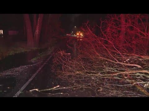 Storm damage reported in north Indianapolis, Hamilton County