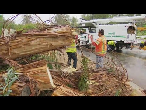Heavy rain soaks San Diego County roads, high winds knock down trees