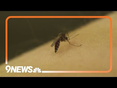 How to choose the best bug spray