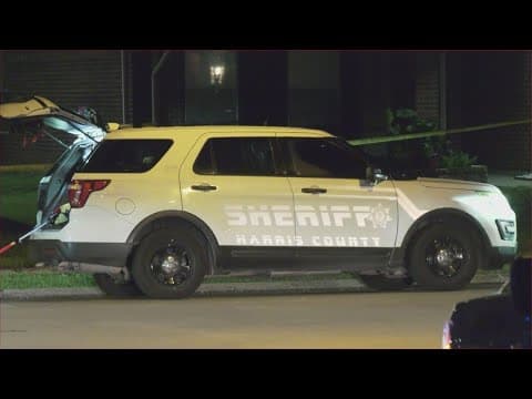 Man hit, killed girlfriend after she jumped out of truck during argument, sheriff says