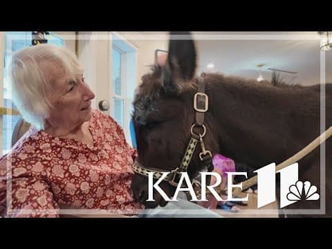 Tiptoe the Therapy Donkey brings seniors joy
