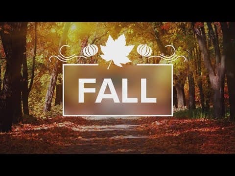 Seasonal Trend: Why do we love 'Pumpkin Spice' that much?