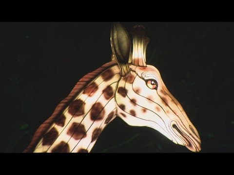 Zoolights returns for another year at the Smithsonian National Zoo