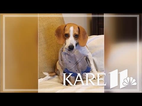 Your Good News: Kirk Nelson, Debra Bohman, Mary Fox