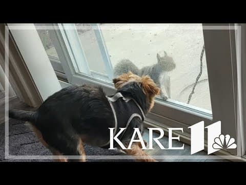 Your Good News: Ann Beadle-Reinitz, Ryan M Johnson, Joann Shanks