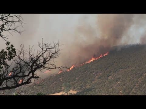 Thousands of acres burning out west in Lodoga California